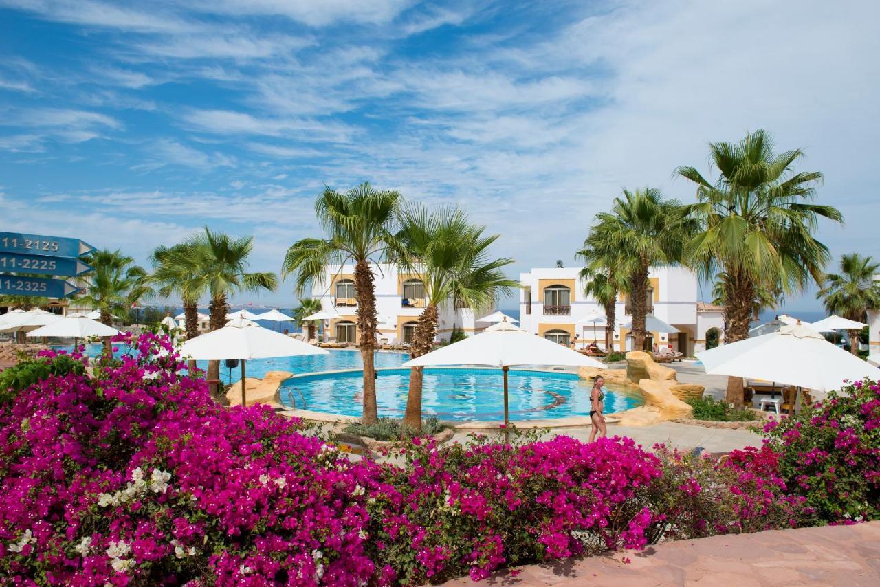 Amphoras Blu Sharm el-Sheikh Exterior photo